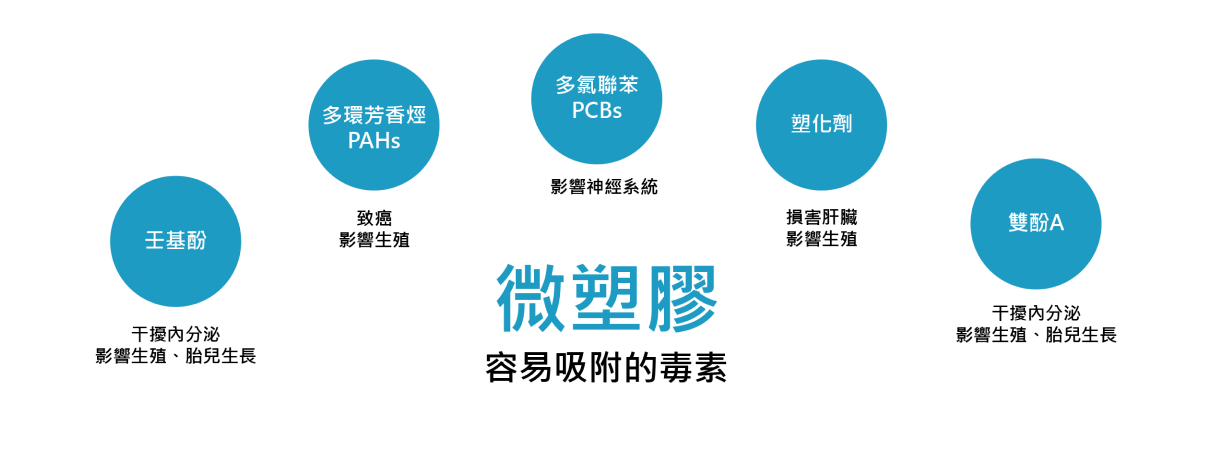 微塑膠容易吸附的毒素